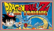 Dragon Ball Z: Team Training